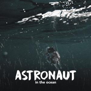 Analogy的专辑Astronaut In The Ocean