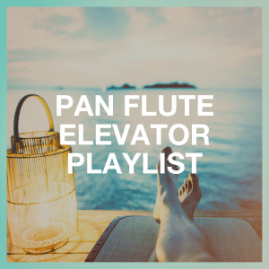 Album Pan Flute Elevator Playlist oleh World Music