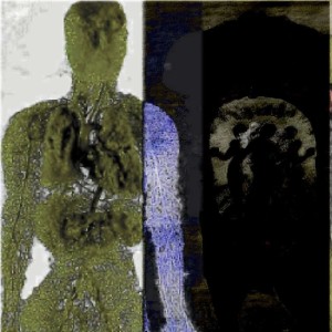 收听grave kid的цыганс лайф метер (Explicit)歌词歌曲