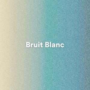 Album Bruit Blanc from 