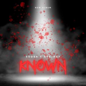ดาวน์โหลดและฟังเพลง Known (feat. Stx_Hay) (Explicit) พร้อมเนื้อเพลงจาก Esosa