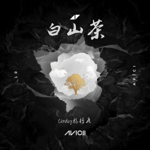 Listen to 永不失联的爱 (cover: 江沁盈) (完整版) song with lyrics from 血小板菌