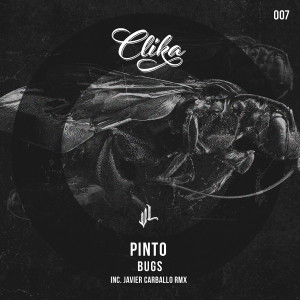 Album Bugs from Pinto