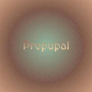 Album Prepupal oleh Various Artists