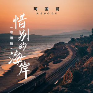Listen to 惜别的海岸 (粤语版) song with lyrics from 阿国哥