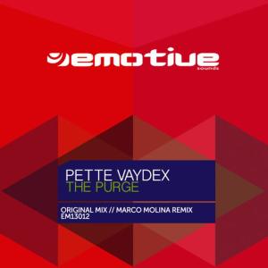 收聽Pette Vaydex的The Purge歌詞歌曲