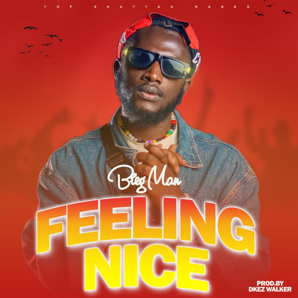 Feeling Nice (Explicit)