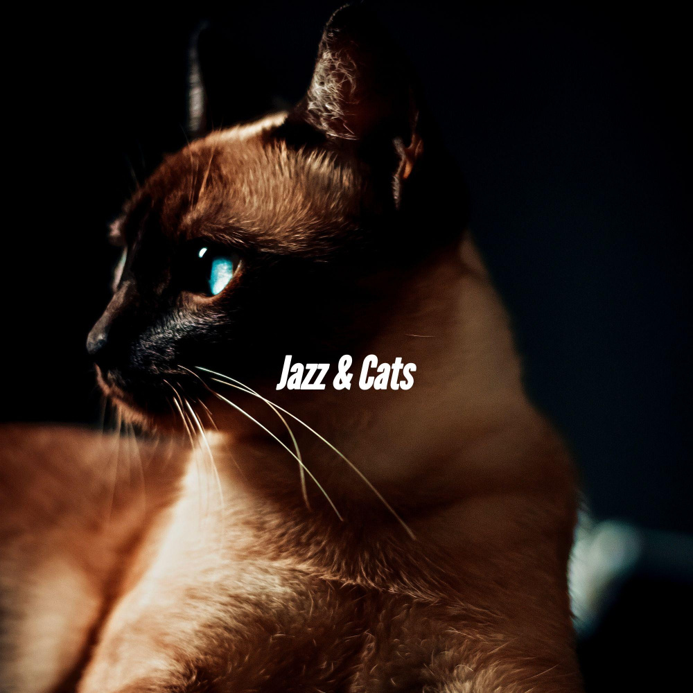 Jazz Organ Soundtrack for Coffeehouse Signs