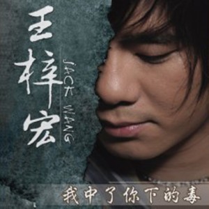 ดาวน์โหลดและฟังเพลง 是不是我爱的不够 พร้อมเนื้อเพลงจาก 王梓宏