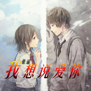 收听张遥的我想说爱你 (伴奏)歌词歌曲
