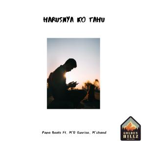 Album HARUSNYA KO TAHU (feat. M'D Sunrise & M'chand) oleh Papa Beats