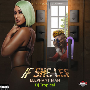 Elephant Man的專輯If She Lef (Explicit)