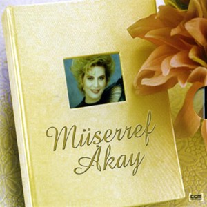 Listen to Şu Dağları Delmeli song with lyrics from Müserref Akay