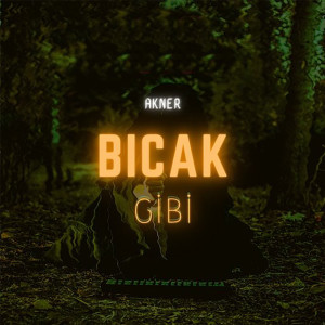 Album Bıçak Gibi from 