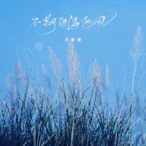 收听苏星婕的不期而遇的风歌词歌曲