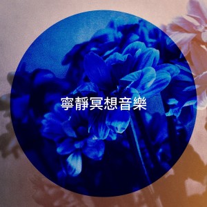 อัลบัม 宁静冥想音乐 ศิลปิน Various Artists