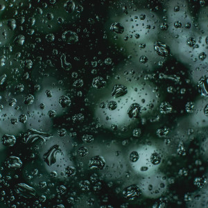 收聽Nature Sounds Nature Music的LoFi Rain on Window歌詞歌曲