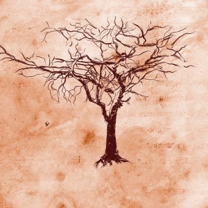 ดาวน์โหลดและฟังเพลง Suringue พร้อมเนื้อเพลงจาก Sincopé