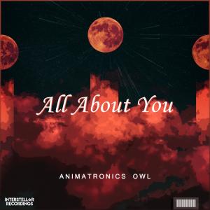 Listen to All About You song with lyrics from Animatronics Owl