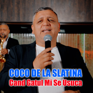 Listen to Cand Gatul Mi Se Usuca song with lyrics from Coco de la Slatina