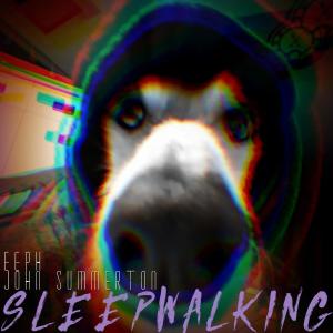 Album Sleepwalking from eeph