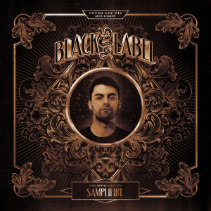 Listen to Last Man Standing song with lyrics from SampliFire
