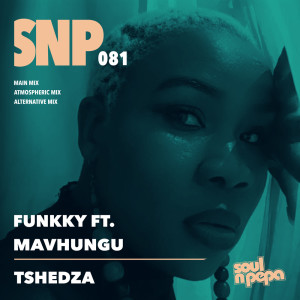 Album Tshedza from Funkky