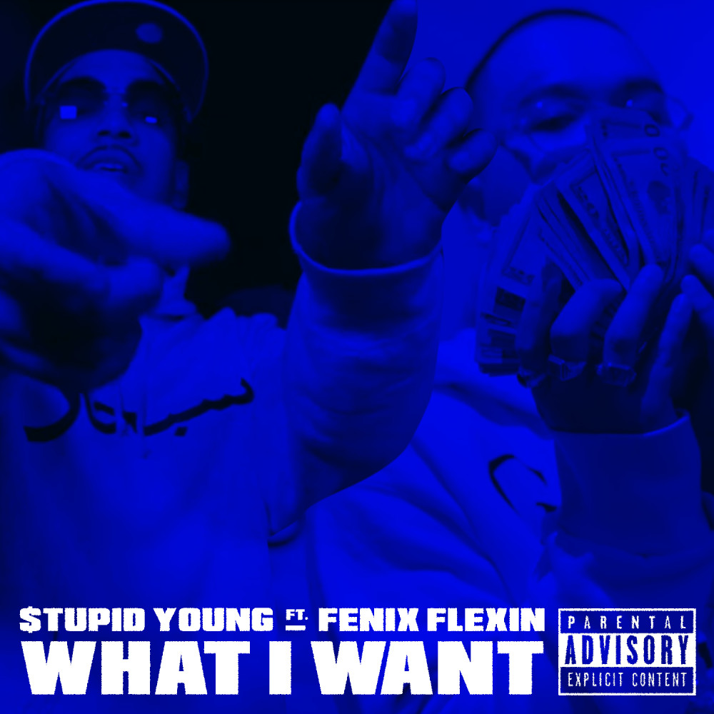 What I Want (Explicit)