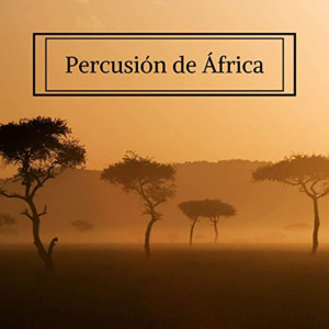 收聽Ritmo Africano的Percusión de África歌詞歌曲