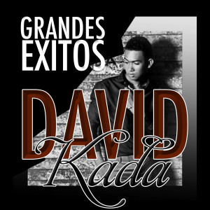 Listen to Todo esta Bien song with lyrics from David Kada
