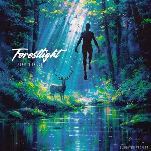 Juan Domecq的專輯Forestlight