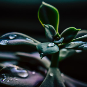 收聽White Noise For Baby Sleep的Blue Sky歌詞歌曲