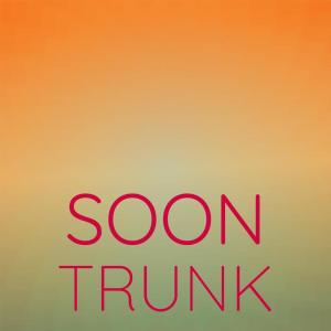 Various的专辑Soon Trunk