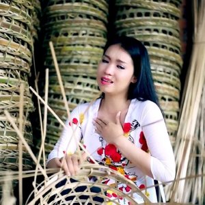 ดาวน์โหลดและฟังเพลง Điệu Buồn Phương Nam พร้อมเนื้อเพลงจาก Trang Anh Thơ