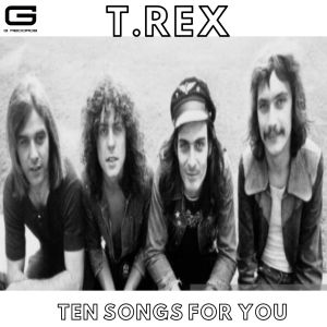 T. Rex的专辑Ten songs for you