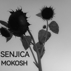 ดาวน์โหลดและฟังเพลง Senjica (Vo1) พร้อมเนื้อเพลงจาก Mokosh