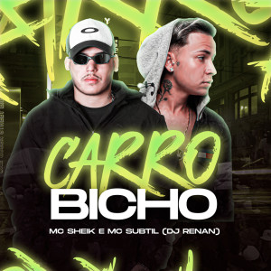 Listen to Carro Bicho (Explicit) song with lyrics from Mc Sheik