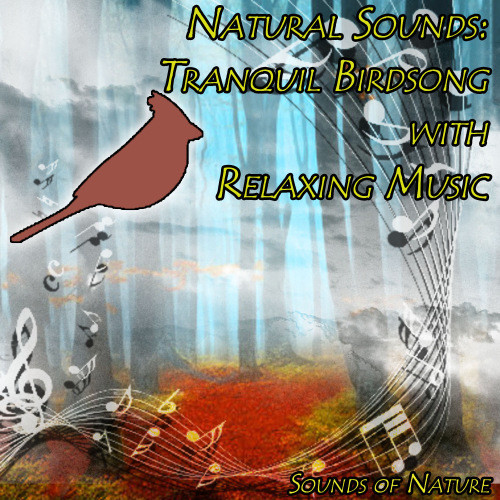 Natural Sounds: Tranquil Birdsong with Relaxing Music