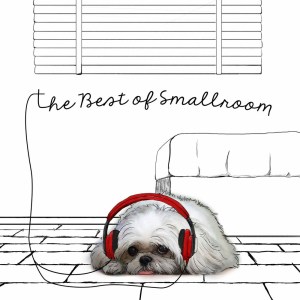 อัลบัม The Best of Smallroom ศิลปิน Various Artists