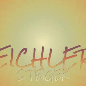 Listen to Focuses Shampooer song with lyrics from Dris Brer