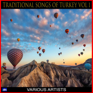 Album Traditional Songs of Turkey Vol .1 oleh Various Artists