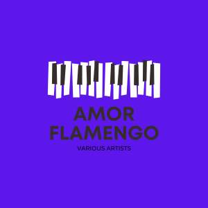 Album Amor Flamengo from Bud Shank