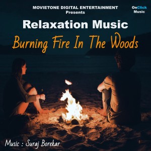 收聽Suraj Borekar的Burning Fire In The Woods歌詞歌曲