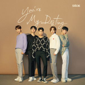 อัลบัม You're My Destiny ศิลปิน D1CE