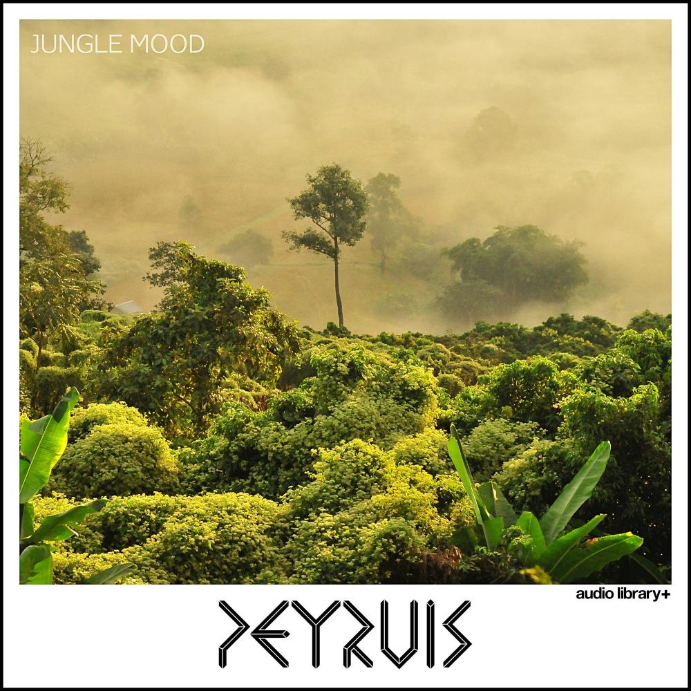 Jungle Mood