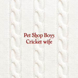 ดาวน์โหลดและฟังเพลง Cricket wife พร้อมเนื้อเพลงจาก Pet Shop Boys