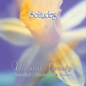 收聽Dan Gibson's Solitudes的Moonlight Sonata, 1st Movement歌詞歌曲