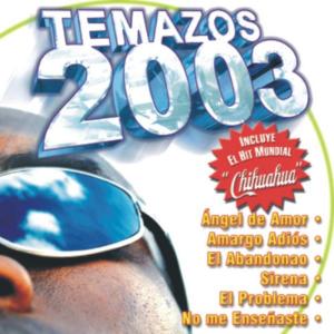 Temazos 2003 - 18 Hits