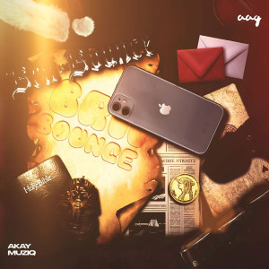 Akay muziq的專輯Brii X Bounce