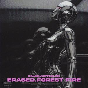 收聽Calebjustcaleb的ERASED.FOREST FIRE (feat. Aim High) (Explicit)歌詞歌曲